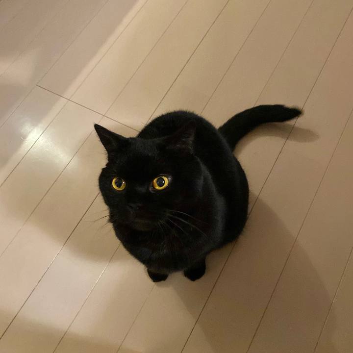 2f1d95f9 ecc3 4281 8ddc bd4f9225034d 1732367814913