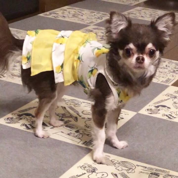 2f1dbd44 8a40 411a a749 9865025f9b3b 1561126183525