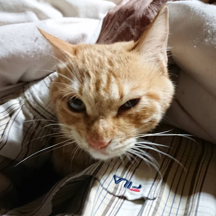 2f1dddbc 460f 41a7 9374 51e57970a217 1638996048351