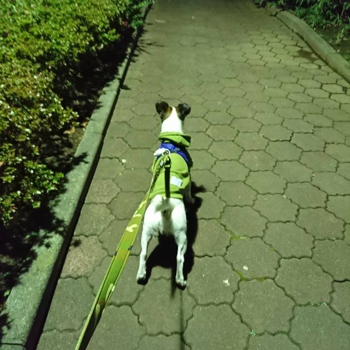 2f1df785 313f 432e 8a62 bd58198589e9 1512647555215