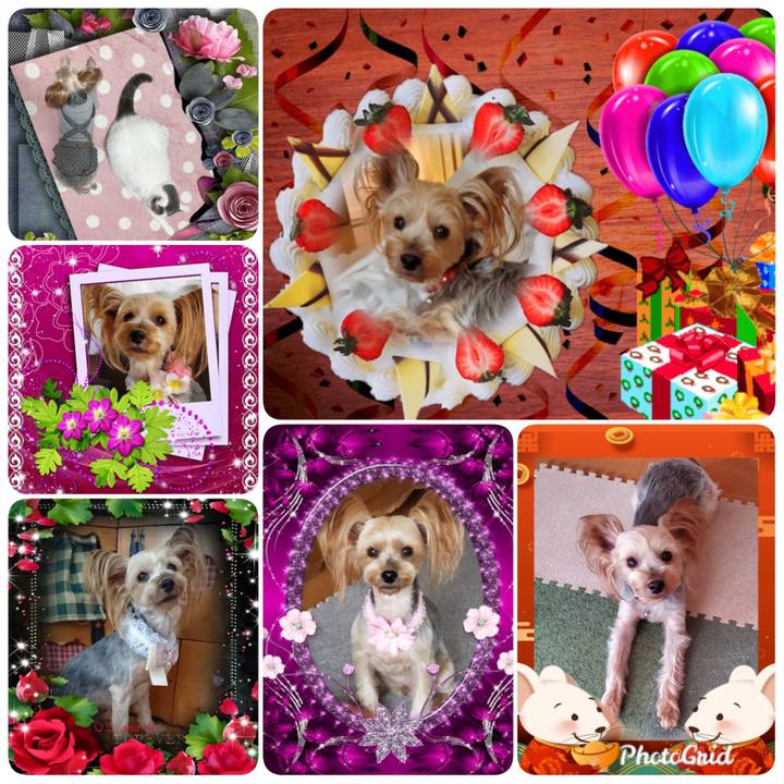 2f1e1046 0a52 4014 9756 b7bc3c4fc590 1579317042935