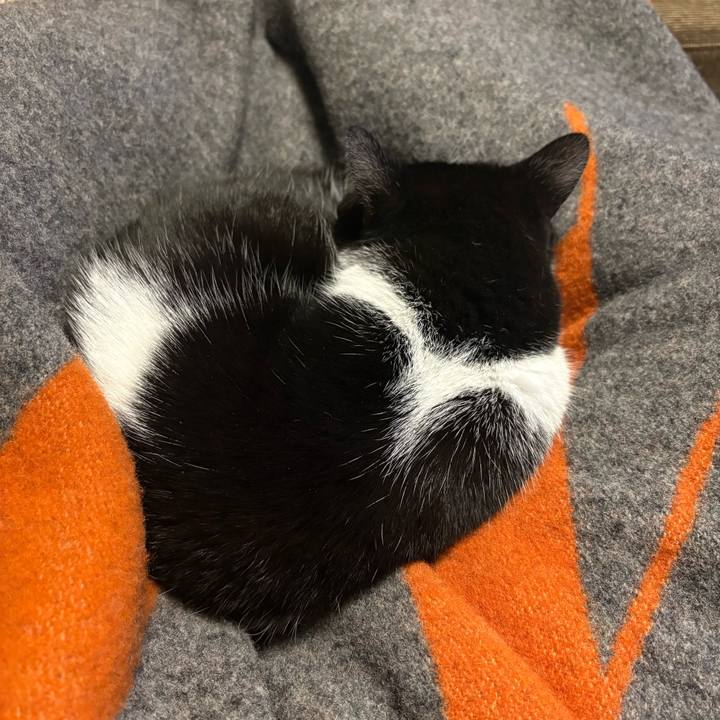 2f1e232d a6da 42ee 8163 9501e6653fc3 1768360895907