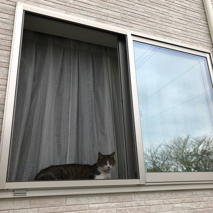 2f1e3fb9 3155 4bee abee df1ea7a849dd 1536243959233