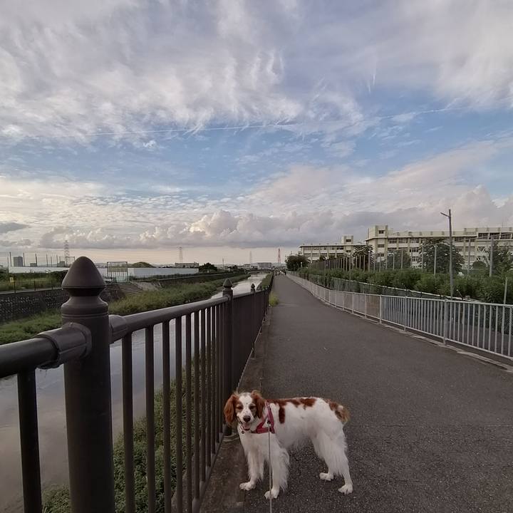 2f1e48b3 ecb4 4c9b 8d15 a513323f38a4 1630841716762