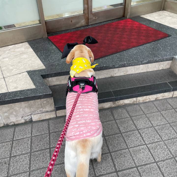 2f1e558f dc3d 4b30 94be 2ee44c148064 1627732166280