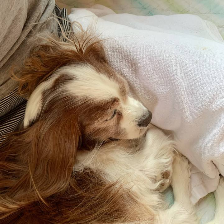 2f1e64af 9d5b 4b3b b419 19d41d12d500 1623626148615