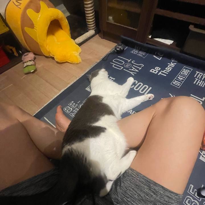 2f1e8045 2261 42c6 9c73 fbda15abb35d 1696086818046