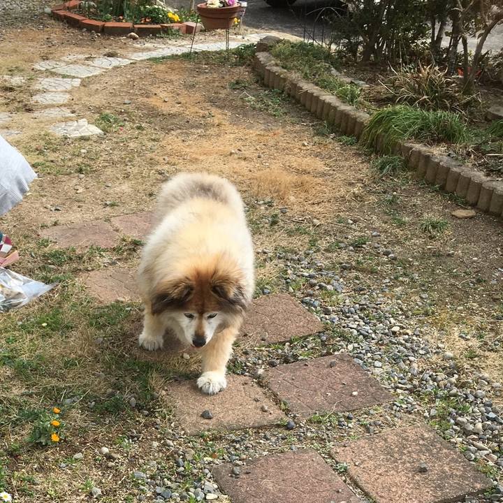 2f1eab76 38a1 40ef 958a 0bae7d40c8ee 1566519495027