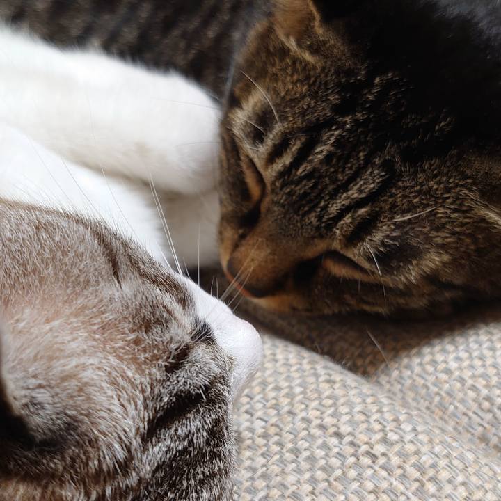 2f1ebe91 bc2b 4e2b 984d 192967841dab 1630673883493