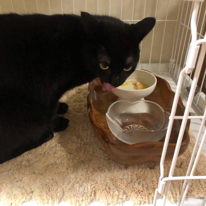 2f1ecfe3 4edd 4207 94fa 17fd6a8db0db 1597199759746