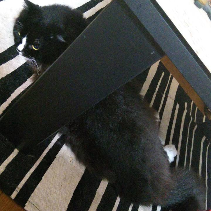 2f1ed453 f70f 43ff bba2 c591b420c779 1658014290640