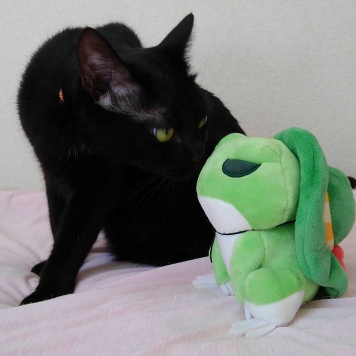 2f1ee3b4 4227 421a 9b68 78fb9377ec13 1567819726624