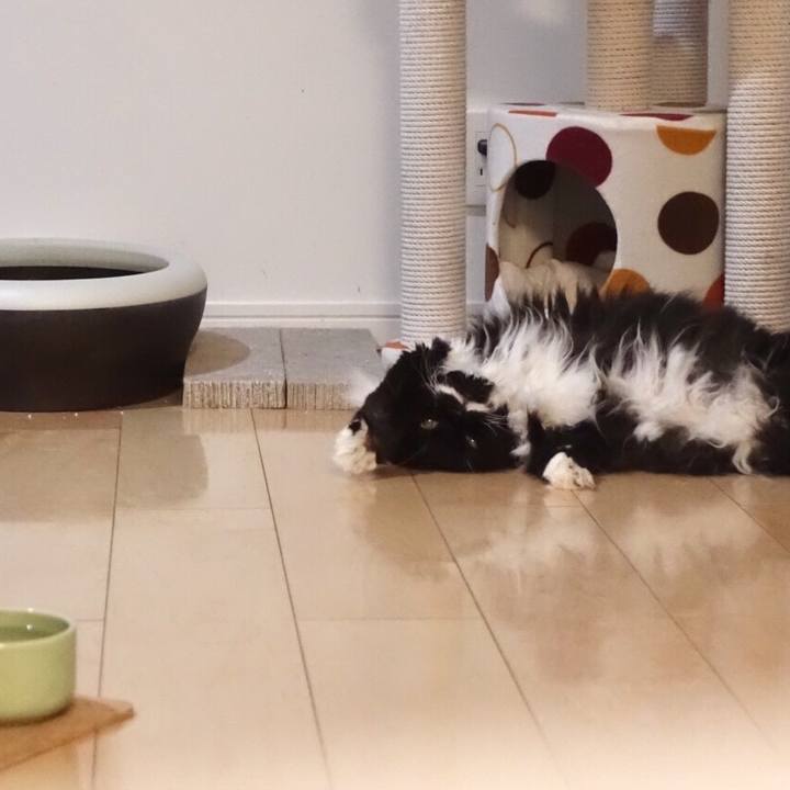 2f1f1431 1830 4ec6 8abd c564a6a5ed7c 1524237497316