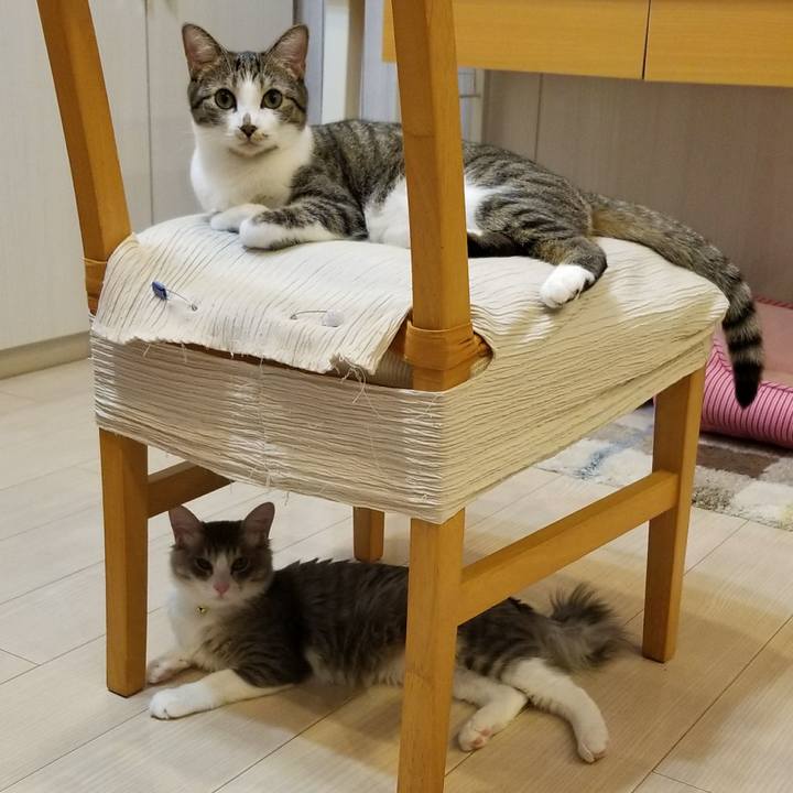 2f1f3075 2477 4168 9023 4d47e7db99ac 1511607354494