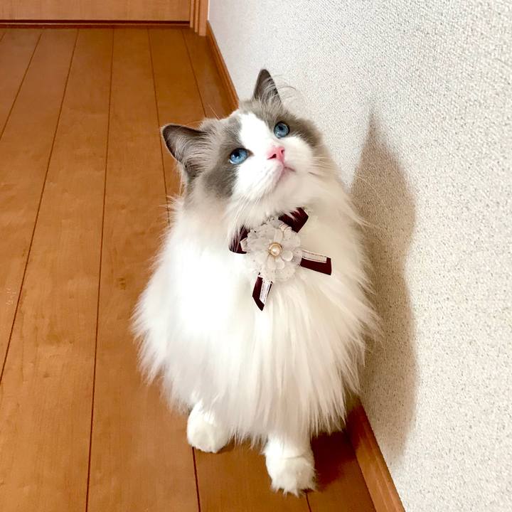 2f1f3186 e09b 4b23 8183 c025eac68007 1593686752357