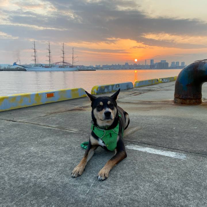 2f1f7682 2e8a 468f a119 1885c0b2846f 1578024072650