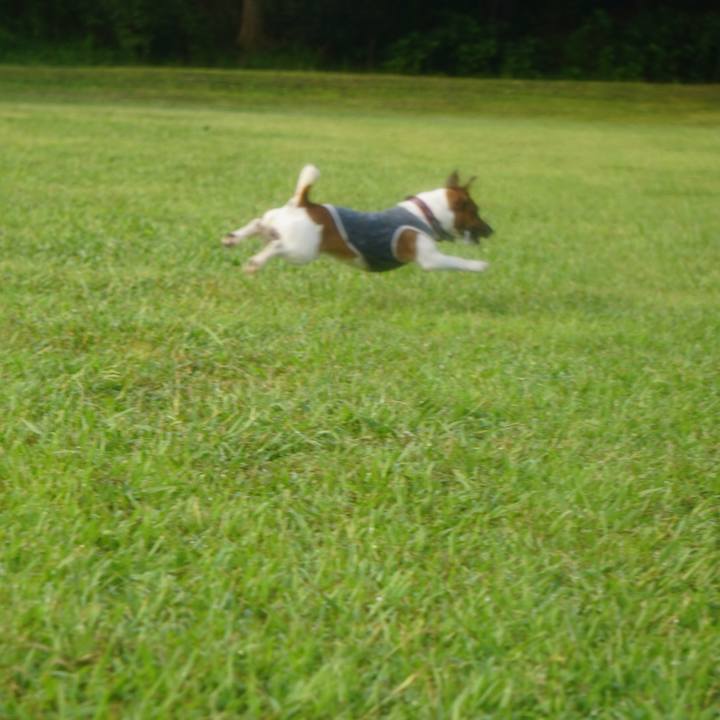 2f1fd690 ce0e 401c 99da 4db00f6b46e3 1564701166882