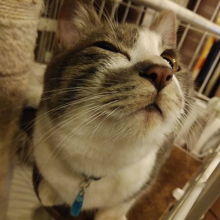 2f1ffe66 470a 4411 8a2c ad0e149a9a64 1579873911247