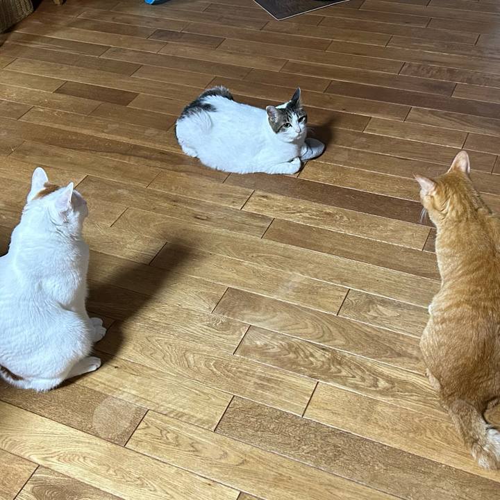 2f2020d3 2938 4b03 8407 6d1b0a37b9c8 1689192799940