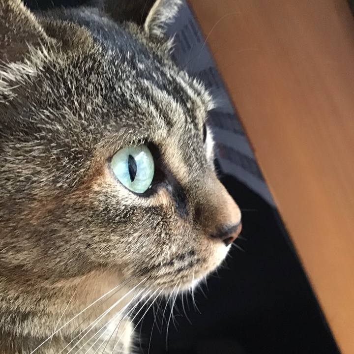 2f202a51 e4b8 40a2 a260 bc692870e8eb 1687167407340