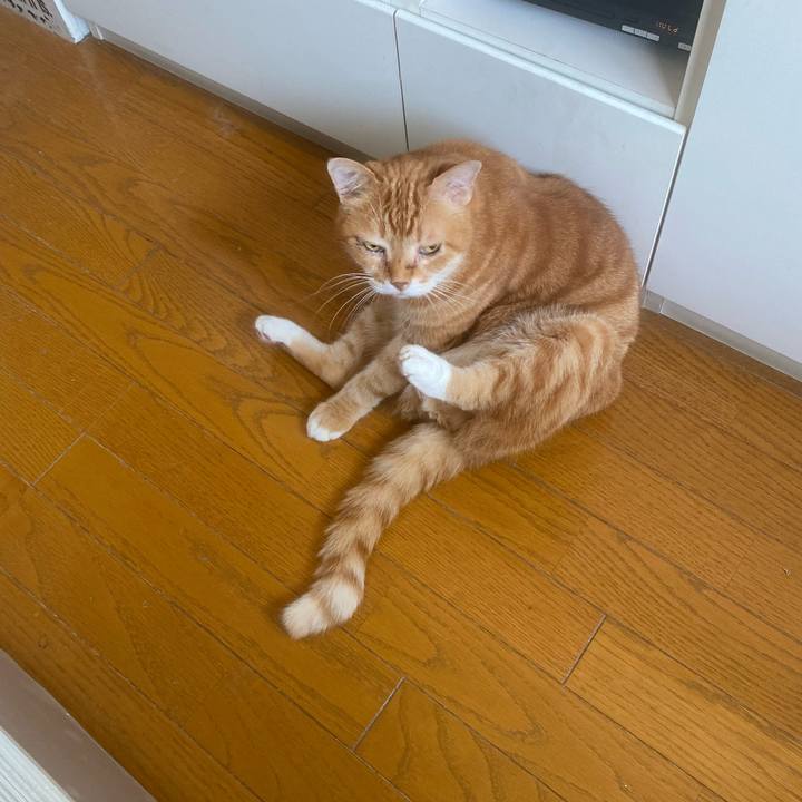 2f20809e 75af 4572 a056 ecae25a128b2 1657328155464