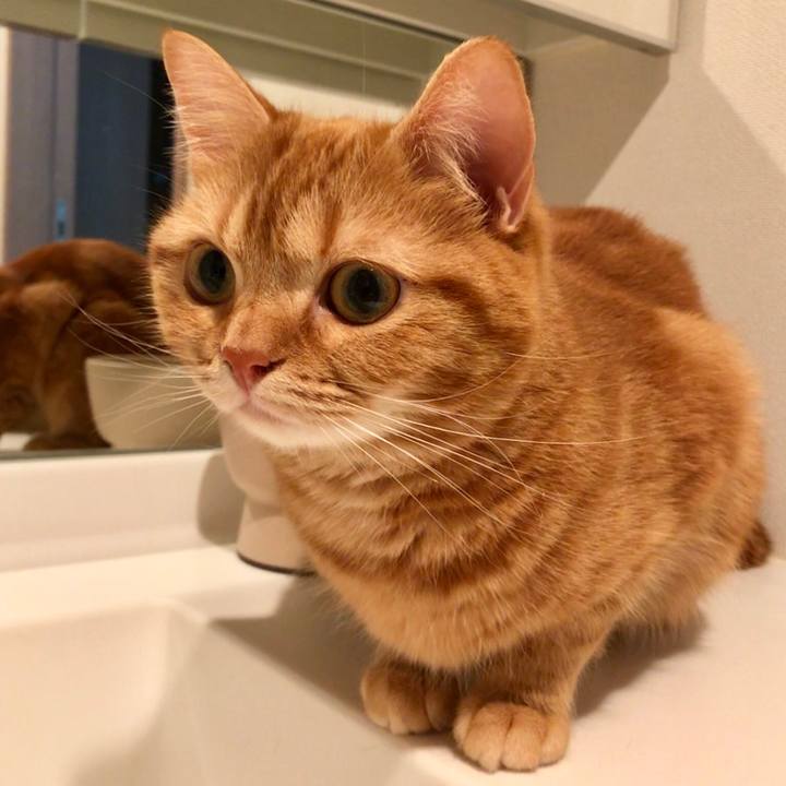 2f208cd4 600d 45d4 bd18 41aab601d97b 1525732204881