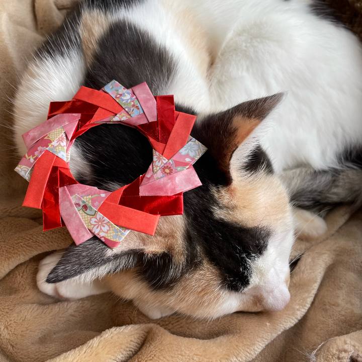 2f20a50d f1fa 41db 9ef1 7c4cdedc2528 1735879179370