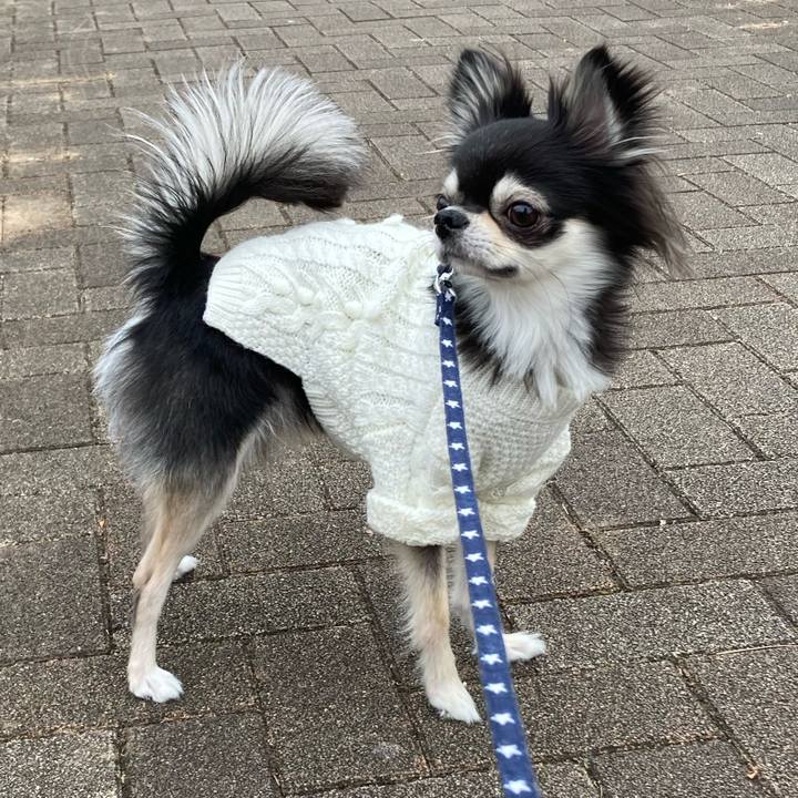 2f20b2e0 f111 47f3 86a6 10f0cd9ec0d3 1641787531765