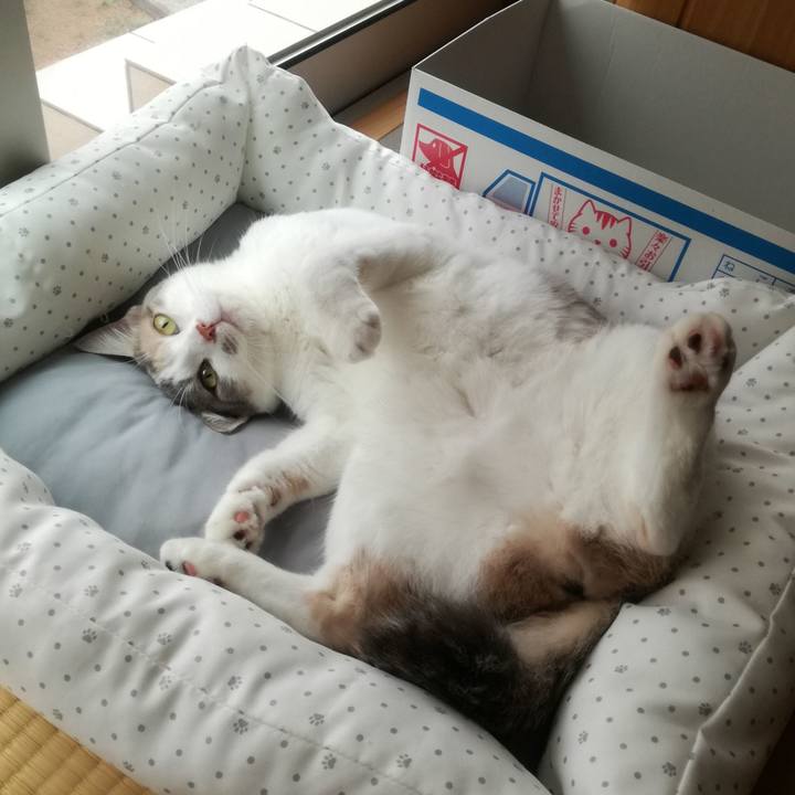 2f20d1dd 9d8f 481b 9d27 95ecc1399fc9 1536537225795