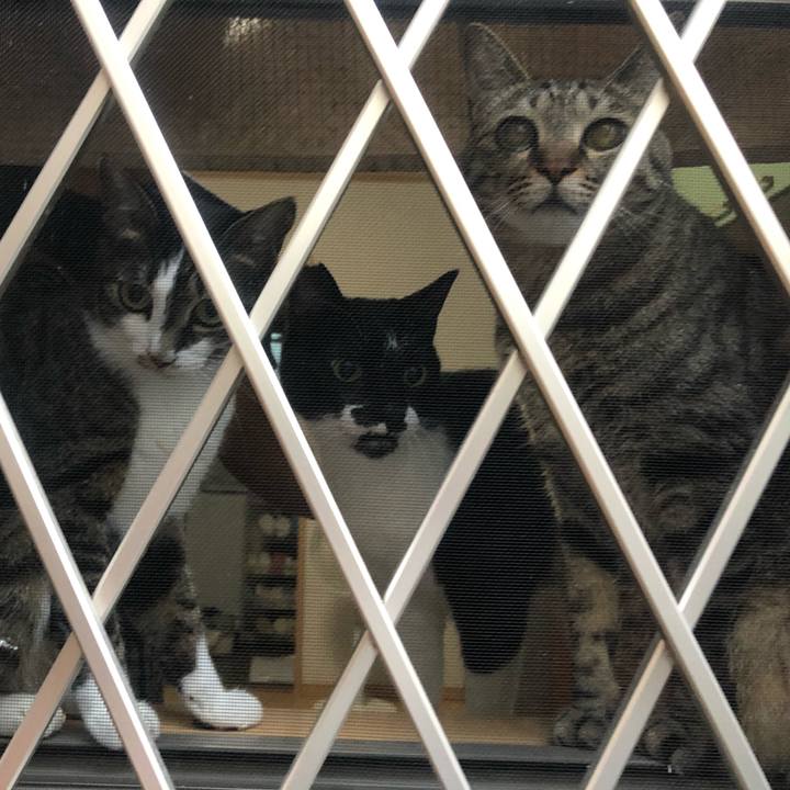 2f20ecf0 94be 413e 8100 b93645e32ff8 1657427328071