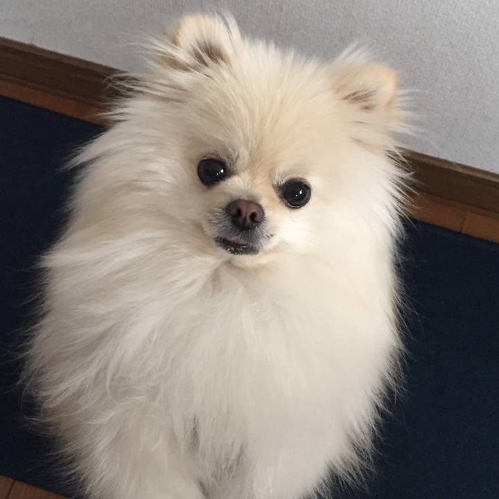 2f20fdd6 ba1c 40a7 9a08 21ebbaa1bdfa 1516143968011