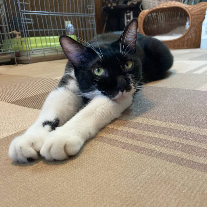 2f211ec3 2bf5 41fc 9d94 ef8b851ddd9f 1756510624104