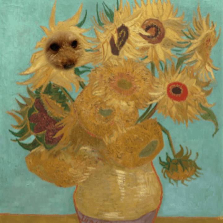 2f217fd0 f7bd 4fba 964b 1c946e8e3476 1635935730307