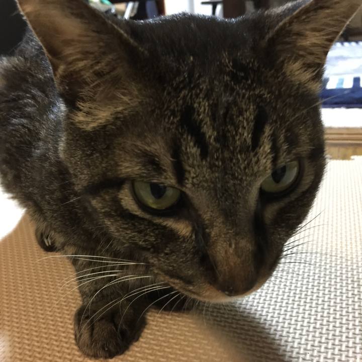 2f2185fe 92f1 4f5d 9418 89270e26dee5 1533896528727