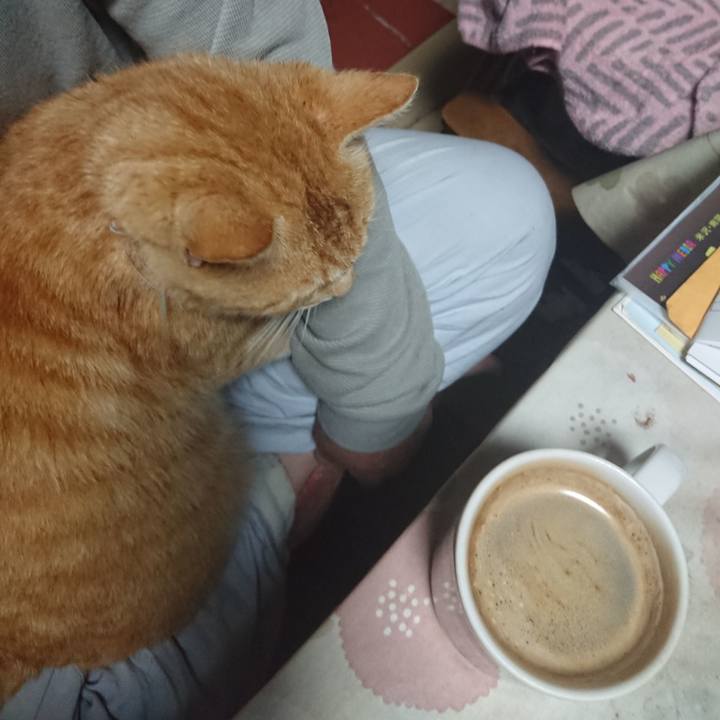 2f2193bf 4aef 4b3d 94f2 47be06bbf7cf 1589832046394