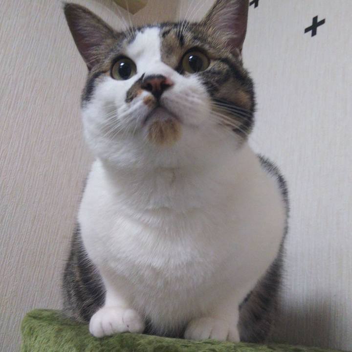 2f21d91f 5eed 4b93 8cb3 53b93abfaab5 1629980739270