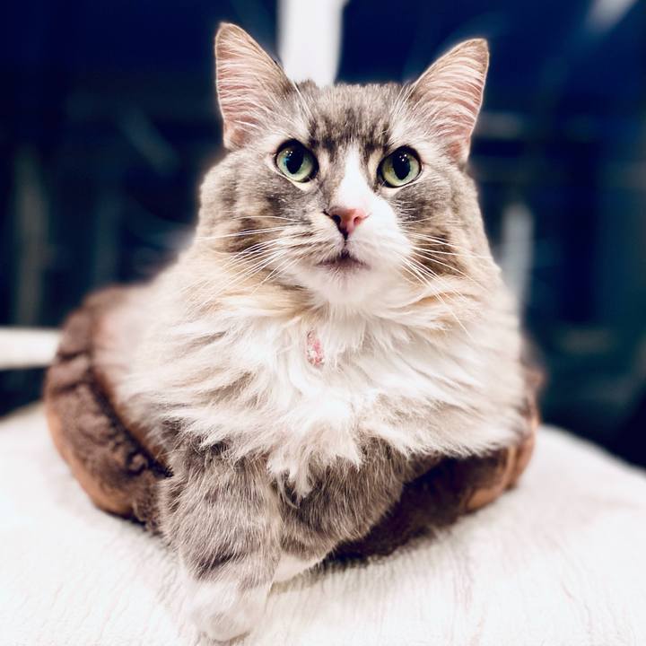 2f21ece7 7293 4bce a3a1 40f407b4de15 1748193546824