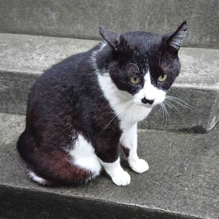 2f21f2e2 7c0a 42ee 9782 7bf0c8c4fb93 1591861567430