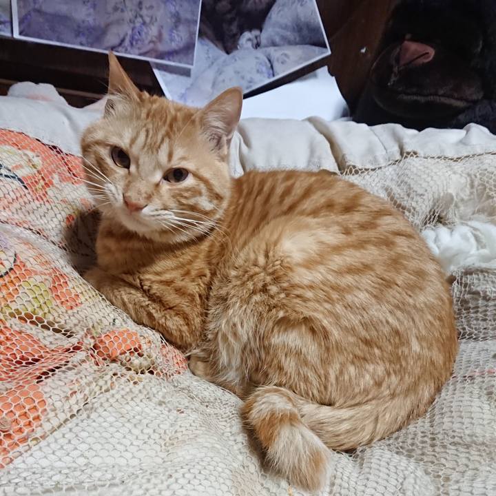 2f21f6f9 d259 4494 bb2f cb0ec9433192 1646254263652