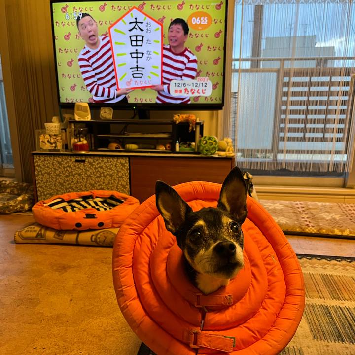 2f222ed8 5b5f 4e35 b8e3 577939b86cc5 1638742350362