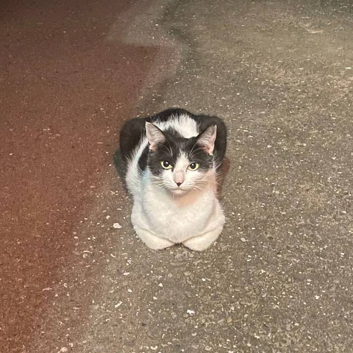 2f223b5f 343f 40dd b00f a7edda1d2c76 1632220343513