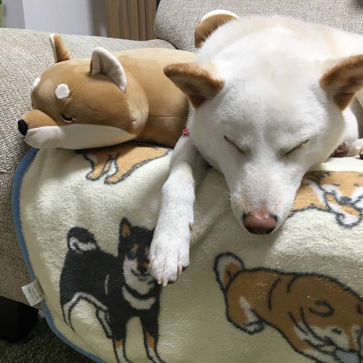 2f22a224 b1ba 4e6c 8b40 4eb75b048e2b 1520748766147