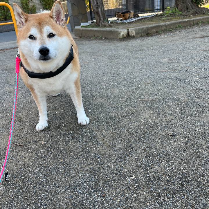 2f22da3c 7f28 4293 98c4 64bf5a17305e 1700270691812