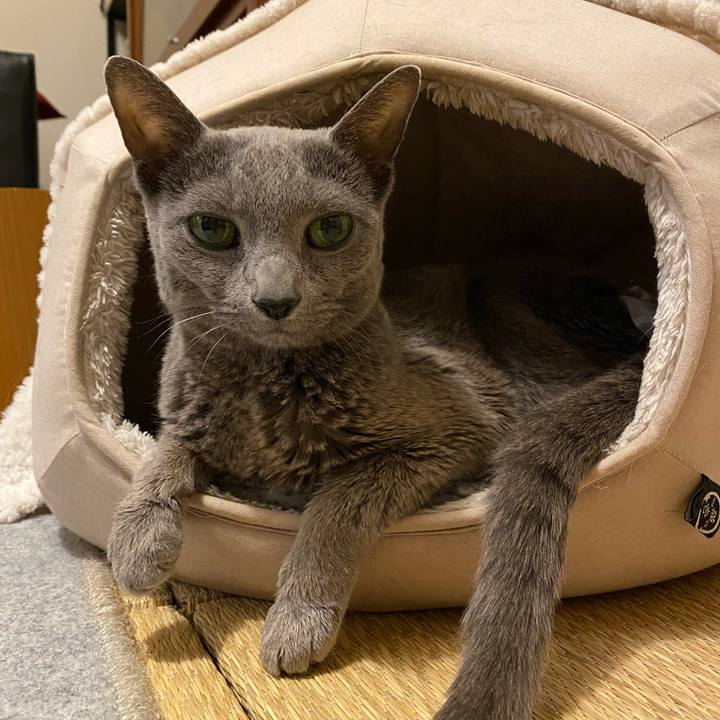 2f22dd67 0c95 4543 9e3a 3c06c75051c5 1645693698253