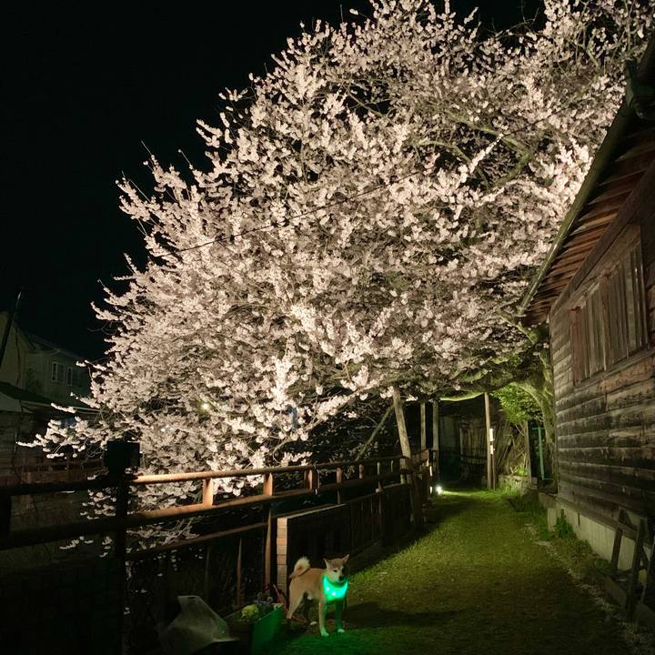 2f22def6 41ea 4066 b546 0add558b457a 1679914730792