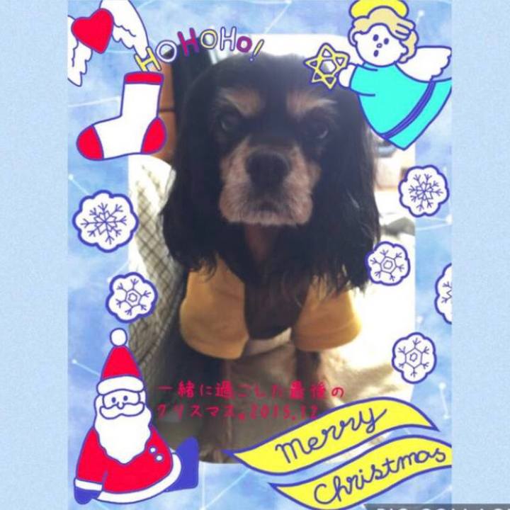 2f22ff1e 0e39 4418 9e93 d1f4e77b545c 1608897571845