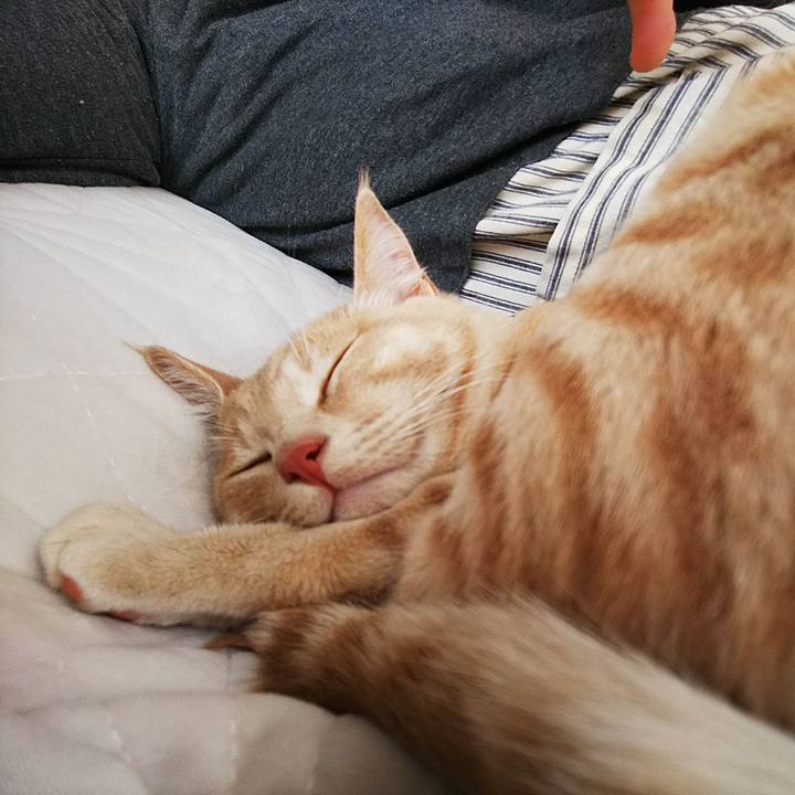 2f23044d 8647 46b0 8c2c 74337f1f8fae 1550639693869