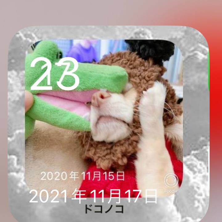 2f2327ed 9059 4547 b61f 10941ce22cd4 1700744575752