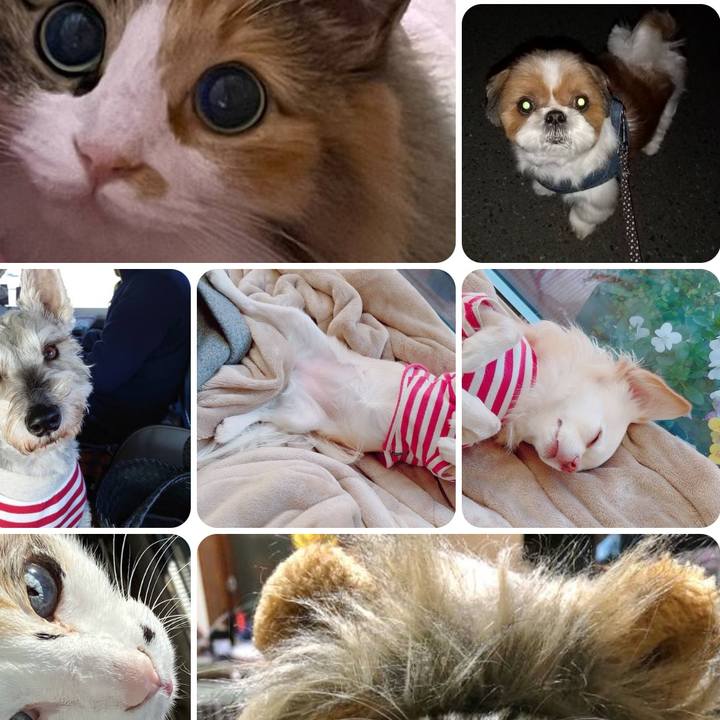 2f235278 d48d 4dbd b792 1765c723dee0 1704541969736