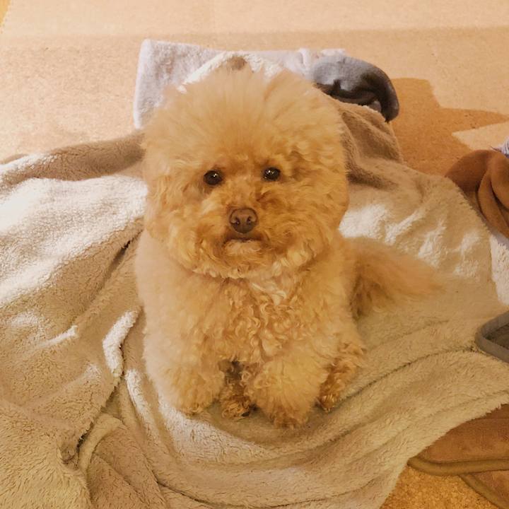 2f23627b 5efb 4a6f 9d8b 502e9a16bc1f 1515576425145